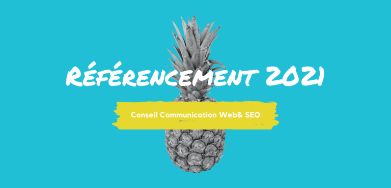 Consultant SEO sea 2021 Référencement naturel france